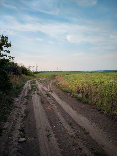 乡村土路中的草甸景观图片下载