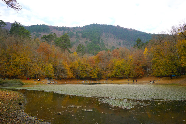 耶迪戈勒， 博卢图片下载