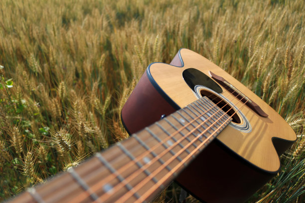 麦田里的木吉他图片下载