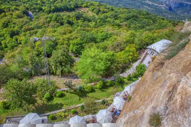 绿色森林和悬崖图片下载