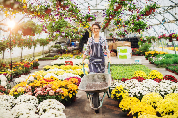 快乐的白人女花商穿着围裙推着温室里的空手推车。周围都是盆花。图片下载