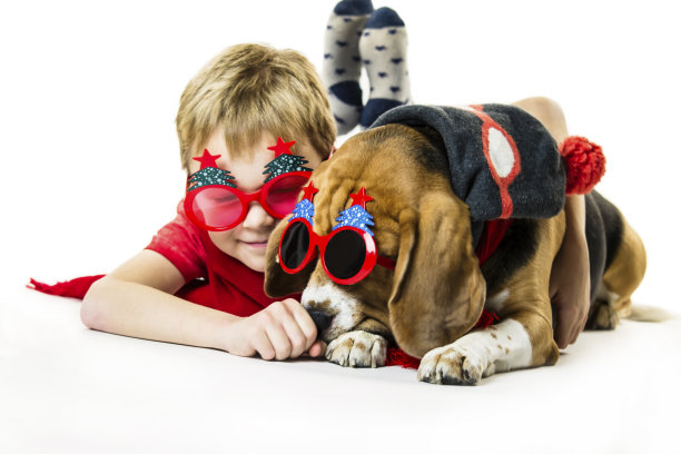 可爱的男孩和滑稽的小猎犬戴着节日太阳镜图片下载