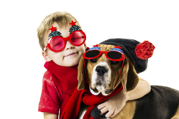可爱的男孩和滑稽的小猎犬戴着节日太阳镜图片下载