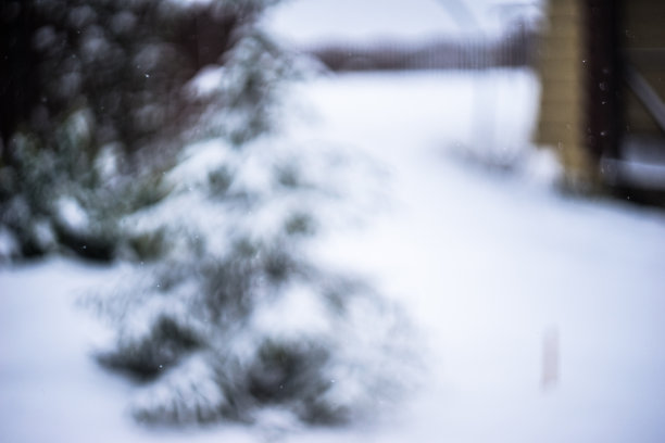 模糊了冬日心情的照片，雪冷杉以下雪的乡村为背景图片下载