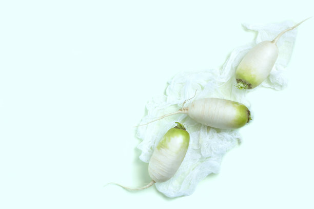 淡蓝色背景上的新鲜白萝卜图片下载