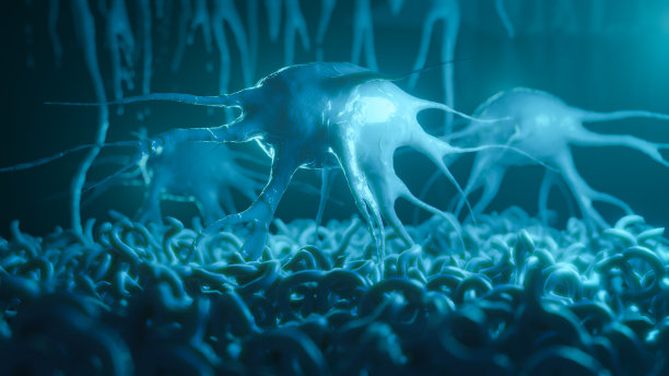 神经元系统图片下载