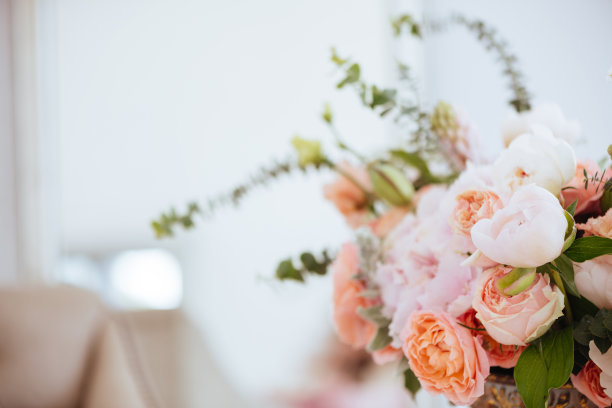 美丽的花儿朵朵。图片下载