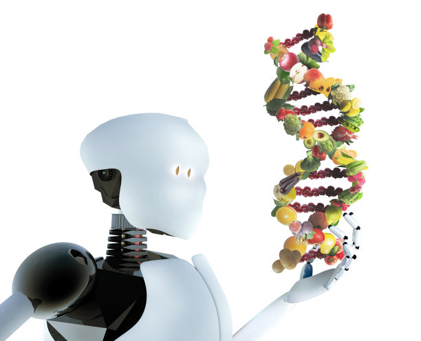 人形机器人持有营养遗传学概念DNA链由健康的新鲜蔬菜和水果图片下载
