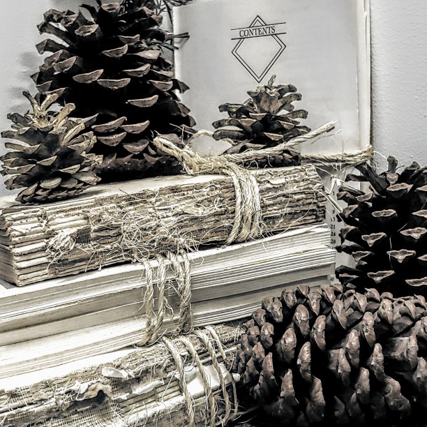 脊椎和松图片下载