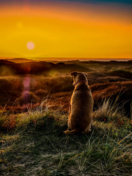 日落爱梗图片下载