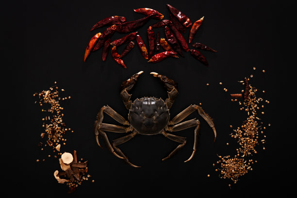 生上海大闸蟹或中华绒螯蟹配辣椒和香草在黑色背景上图片下载