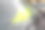 Hi-viz放在仪表板上(Gilet jaune)图片下载