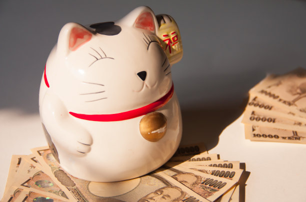 猫和日元图片下载