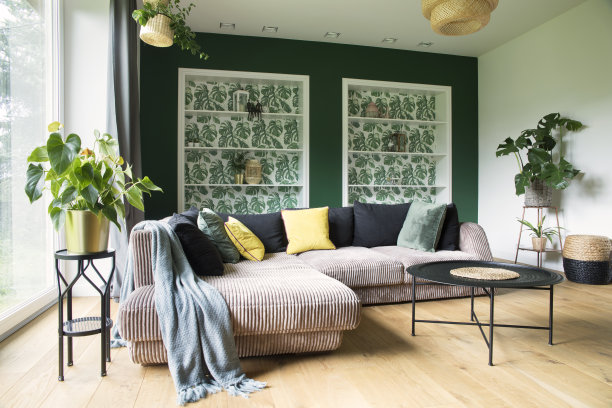 时尚的室内沙发，彩色枕头，鲜花和木地板。阳光和明亮的客厅与大窗户和设计的马桶。图片下载