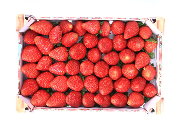 草莓的背景图片下载