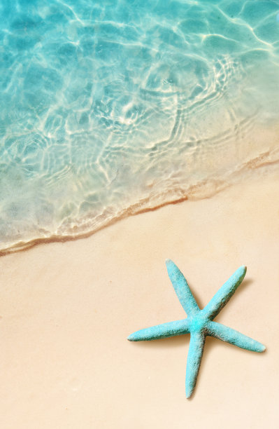夏天海滩上的海星。夏天的背景。热带沙滩图片下载