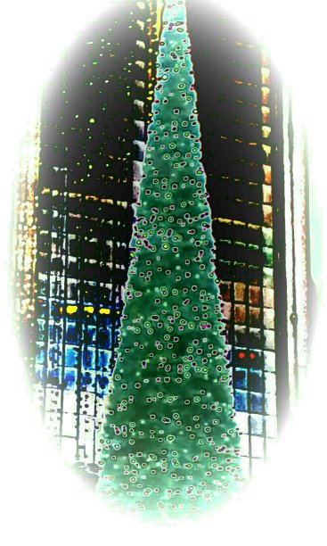 圣诞节图片下载