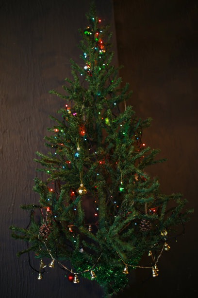 圣诞树图片下载