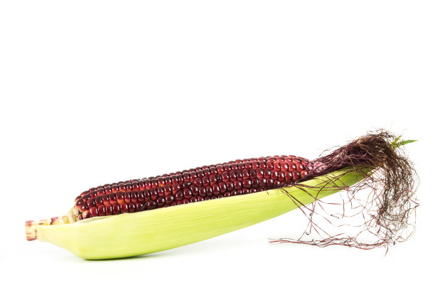 红紫色的玉米图片下载