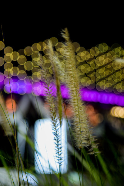 百货公司停车场的模糊抽象照片与建筑的光散景图片下载