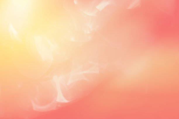 “活珊瑚”背景光线柔和图片下载