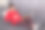 照片无忧无虑的严肃孕妇穿着休闲的衣服，专注于书，读有趣的故事，在靠近窗户的沙发摆姿势与灰色的窗帘，享受文学。生活方式的概念。图片下载