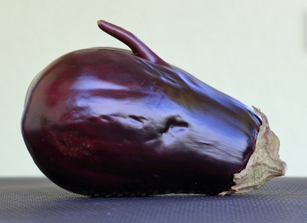 新鲜有趣的茄子与阴茎，茄子孤立的背景图片下载