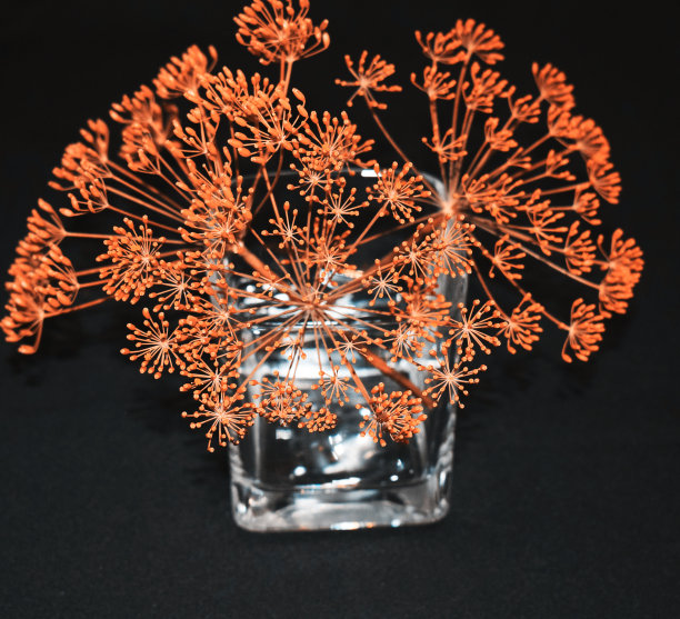 装饰性的香草、茴香的花束。香料的静物。蔬菜和肉类的调味料。把莳萝种子装在漂亮的玻璃杯里。香料容器。东方美食。厨房装饰元素。图片下载