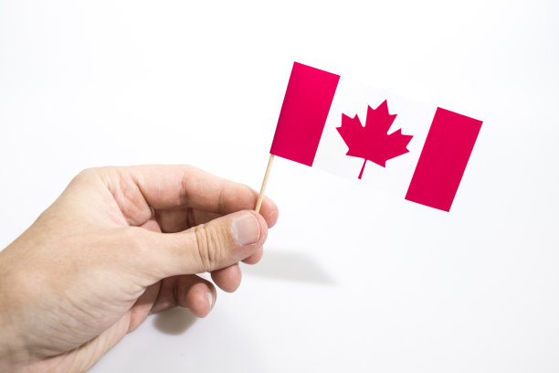 手握加拿大国旗孤立在白色背景组成图片下载