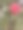 挂在冷杉树上的针织圣诞小装饰品图片下载