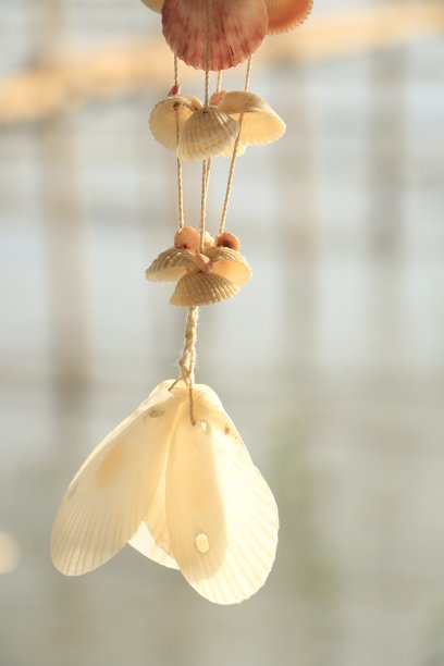 美丽贝壳移动式挂件图片下载