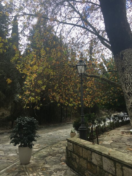 秋天的照片图片下载