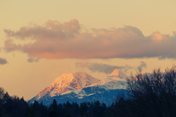 日落时分的卡拉旺斯山脉，前景中有树木图片下载