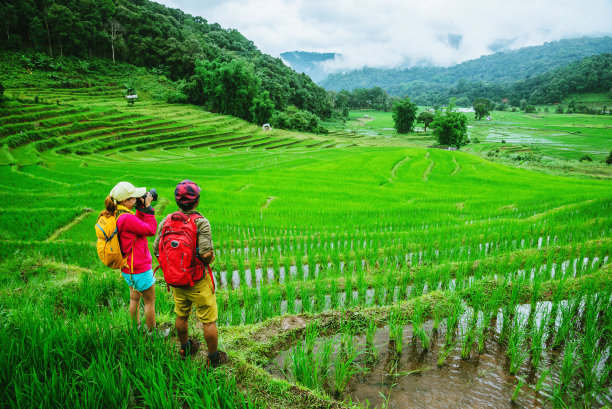 情人亚洲男人亚洲女人旅游自然旅游放松在泰国清迈的雨季在稻田里散步照片图片下载