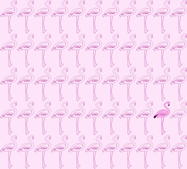 图案与粉红色火烈鸟，热带情调，非常适合您的设计图片下载