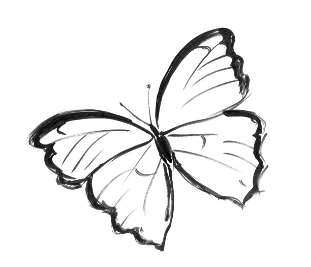 黑墨手写画蝴蝶图片下载