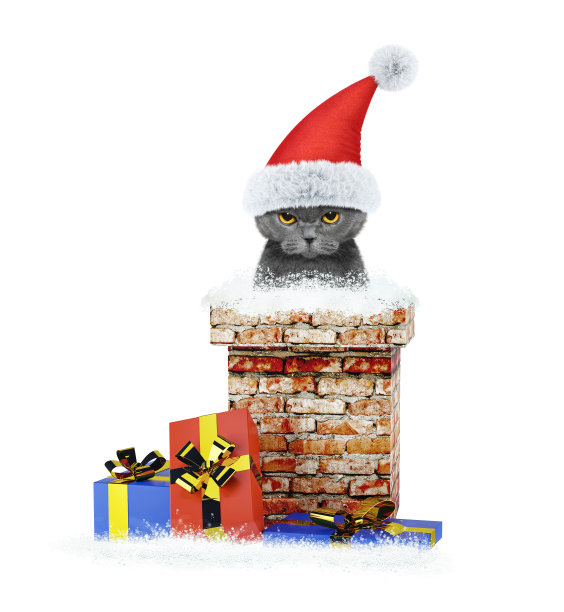 快乐的圣诞猫从烟囱爬出来。孤立在白色图片下载