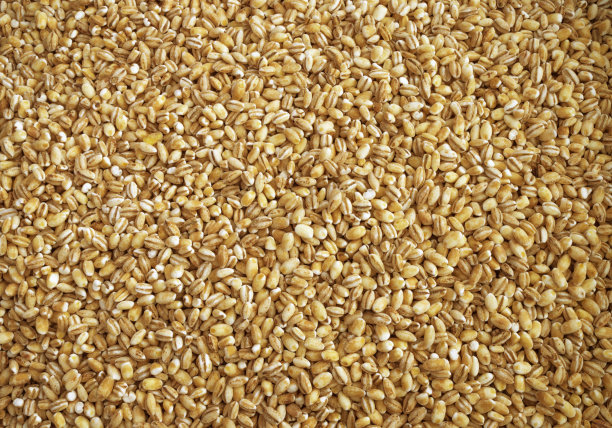 珍珠大麦的背景或质地图片下载