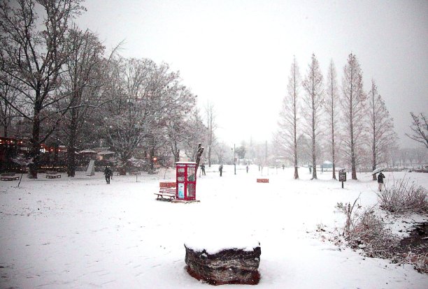 冬季 VH503图片下载