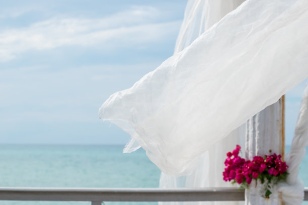 加勒比海的婚礼庆典图片下载