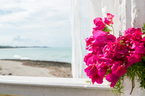 加勒比海的婚礼庆典图片下载