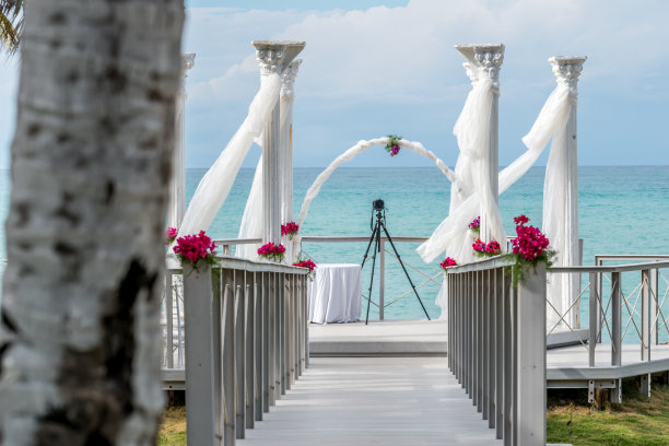 加勒比海的婚礼庆典图片下载