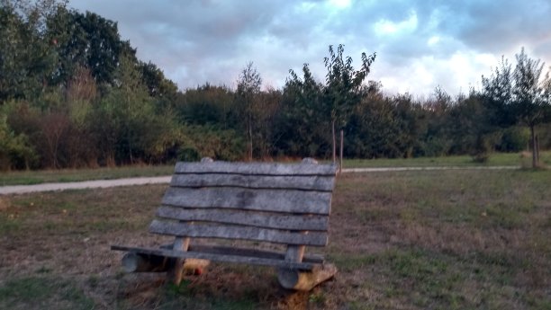 雨后的灰色木制公园长椅图片下载
