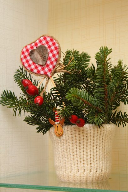 圣诞装饰花盆冷杉枝图片下载