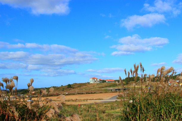 真棒，鸟星，秋，山，天，云图片下载