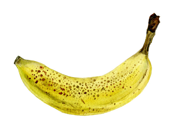 香蕉水彩图片下载