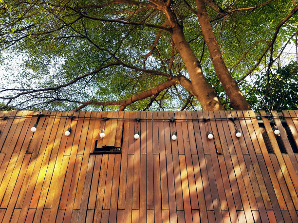 在树冠下有灯泡的木板墙图片下载