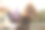 狮子狗换新发型图片下载