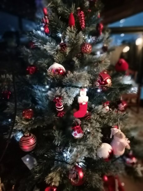 圣诞树图片下载