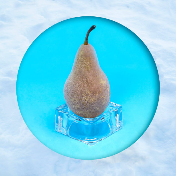 冰块上的冰冻梨图片下载